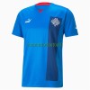 Maillot de Supporter Islande Domicile 2022 Pour Homme